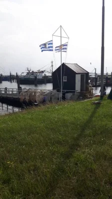 Afbeelding Bruinisser Vishandel