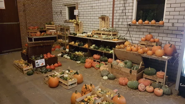 Afbeelding Tuinbouwbedrijf Bonten