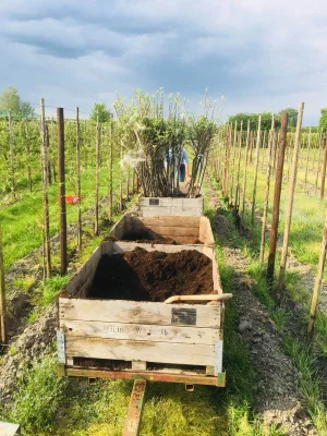 Afbeelding Eerlijk & Heerlijk van Berge