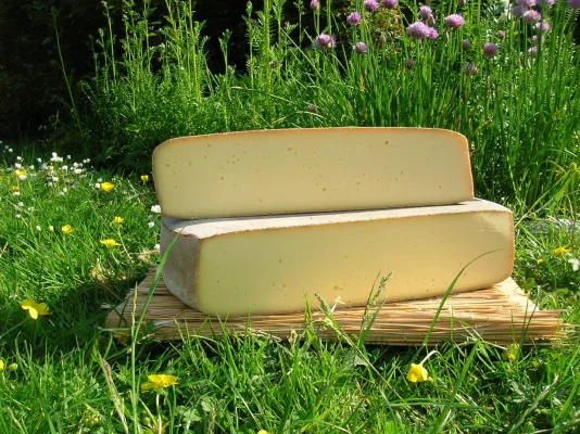 Afbeelding Kobunder Natuurkaas op de ZuiderMRKT