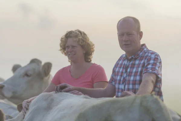 Afbeelding Charolais-Cow4U Abbenbroek