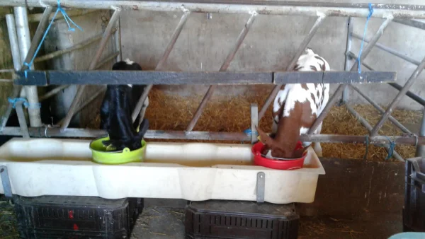 Afbeelding Saurenhof