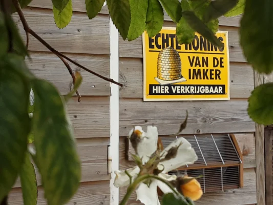 Afbeelding 100% Natuurzuivere Honing van MirApi