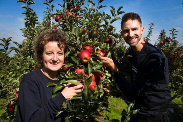 Afbeelding Firma Ruizendaal