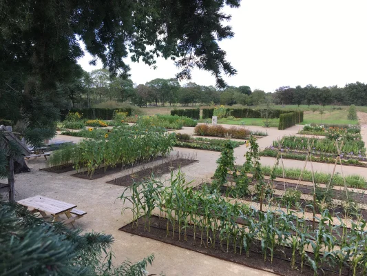 Afbeelding Stroeberries