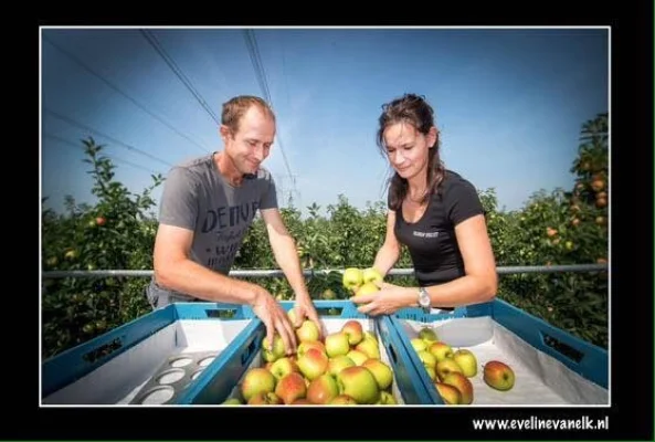 Afbeelding Elshof-Fruit