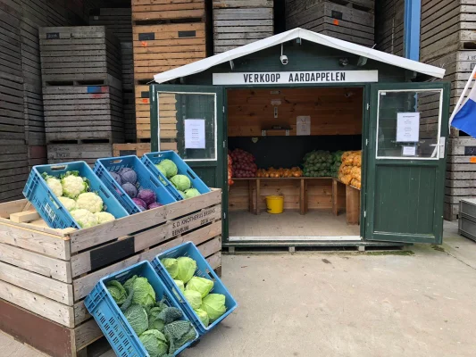 Afbeelding Mts. Knotnerus Bruins