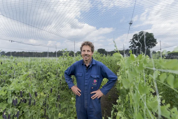 Afbeelding Bijzonder Brabants