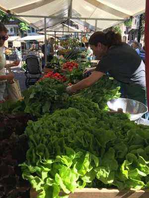 Afbeelding Tuinderij de Antoniushoeve