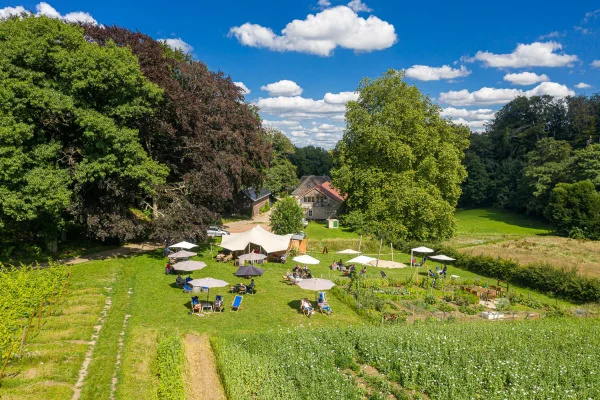 Afbeelding Wijnterras De Holdeurn