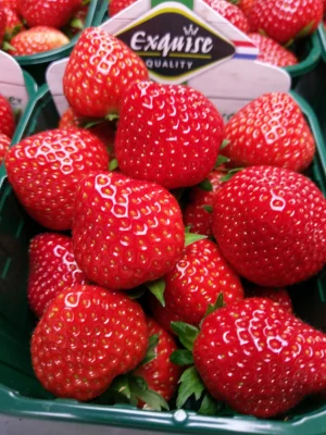 Afbeelding De Goeije Kroon