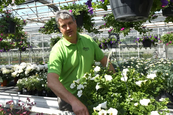 Afbeelding Kwekerij Almere