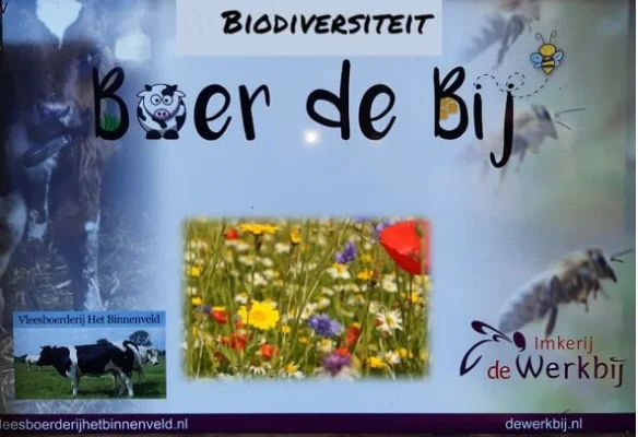 Afbeelding Boer de Bij