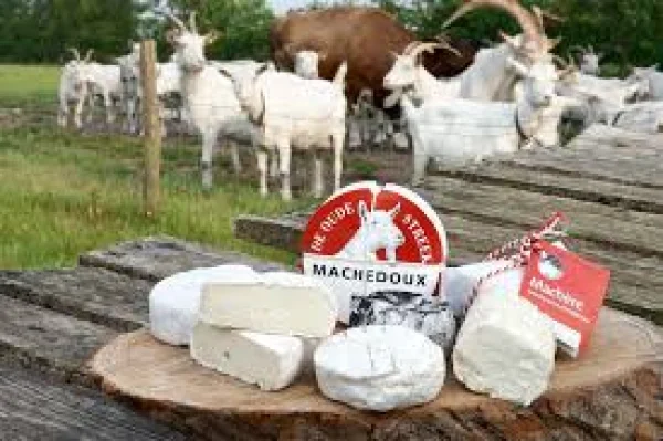 Afbeelding Geitenhouderij De Oude Streek