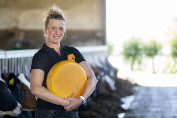 Afbeelding De Vosseburch