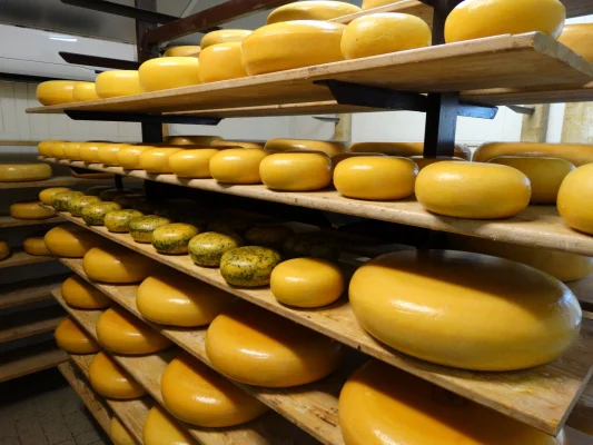 Afbeelding Kaasboerderij Sterreschans