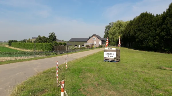 Afbeelding Dirne Aardappelen