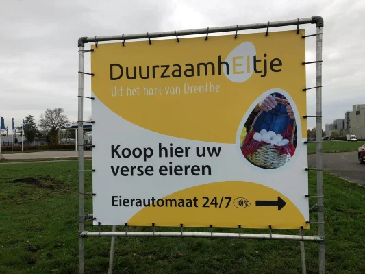 Afbeelding Eieren bij de Wasbeer