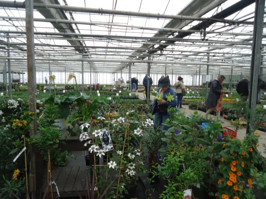 Afbeelding Kwekerij van der Velde