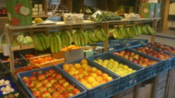 Afbeelding 't Fruithuis