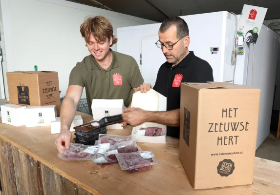 Afbeelding Het Zeeuwse Hert