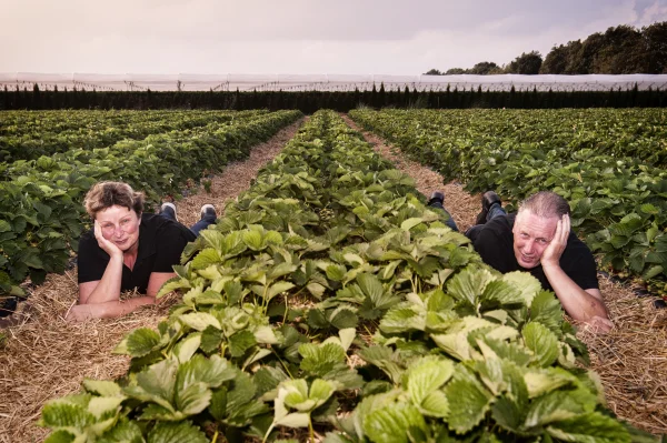 Afbeelding Boerderijwinkel De Zijp