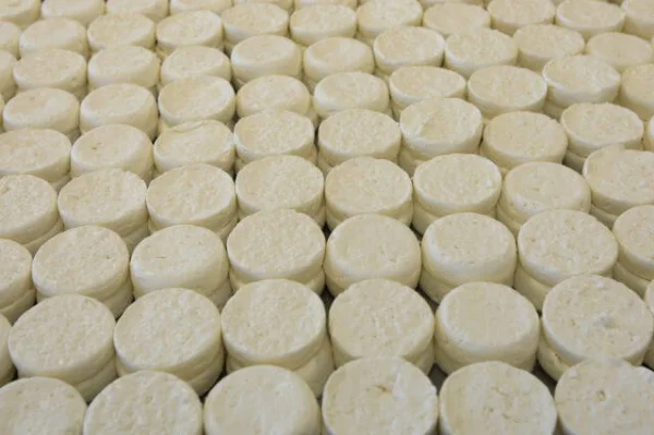 Afbeelding De Molkerei | Geitenzuivel van 't Wad