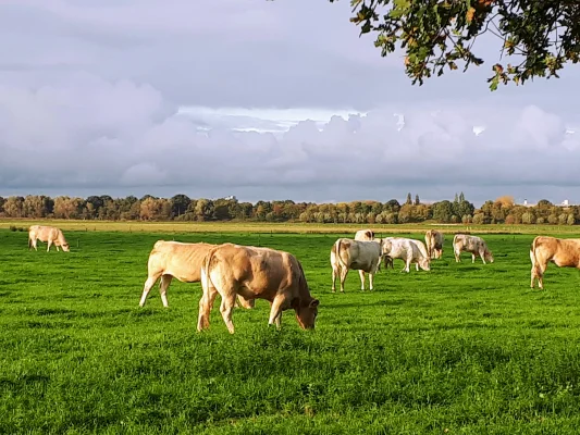 Afbeelding Boerderijwinkel de Gement