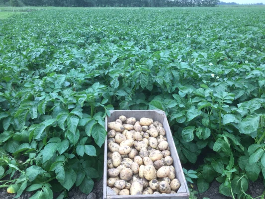 Afbeelding Familie Tas