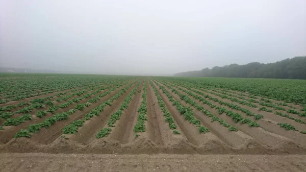 Afbeelding J. & A. Glas