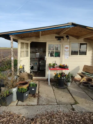 Afbeelding It plattelandswinkeltje