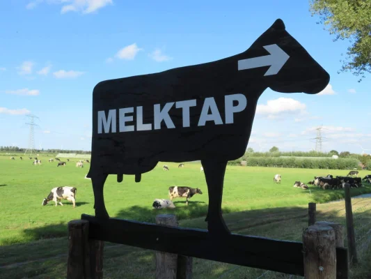 Afbeelding Melktap, Kaasautomaat en Boerenijs