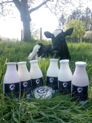 Afbeelding Boer Lubbers