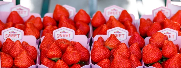 Afbeelding Aardbeienautomaat Kwekerij Loos