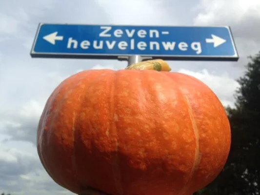 Afbeelding Groentenhof Poelen