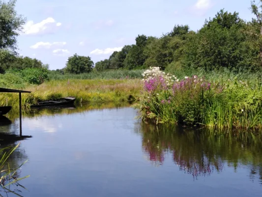 Afbeelding Imkerij 't Zod