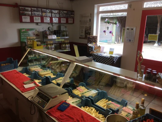 Afbeelding Aspergeboerderij De Stokhoven