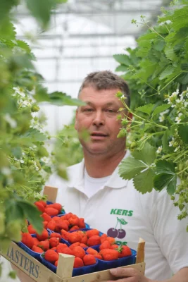 Afbeelding Van Herk Fruit