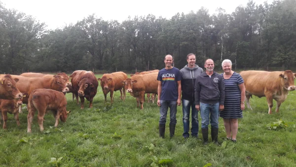 Afbeelding Limousinbedrijf Van Lievenoogen Soerendonk
