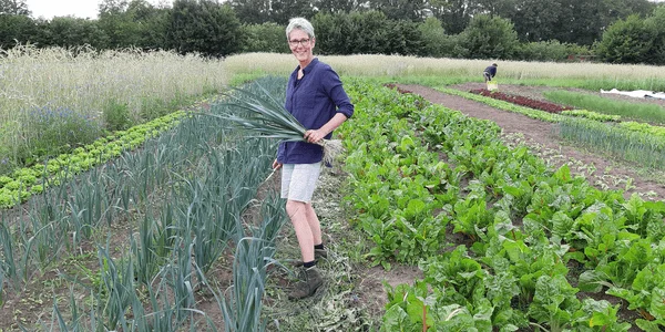 Afbeelding Tuinderij Vosbeek