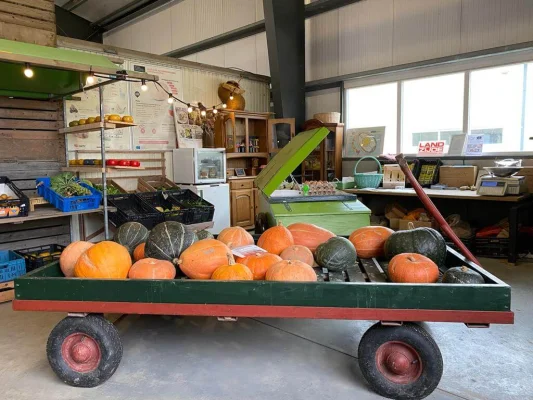 Afbeelding Elisabeth Hoeve