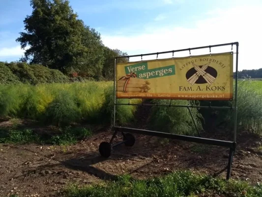 Afbeelding Aspergeboerderij Koks