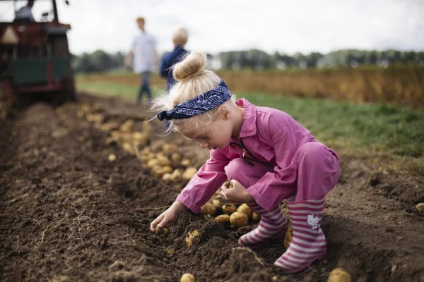 Afbeelding Beleef het en eet het