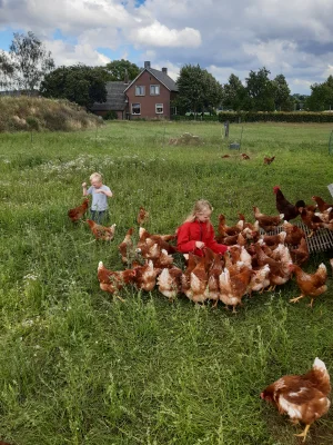 Afbeelding Klein Beekermark