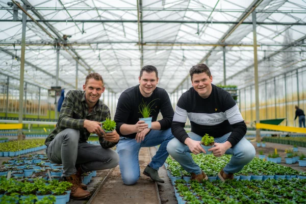 Afbeelding LIF Kruidenkraam - verse kruiden in pot