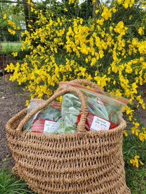 Afbeelding Bram's Hofke