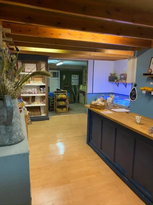 Afbeelding Blauwe bessen boerderij