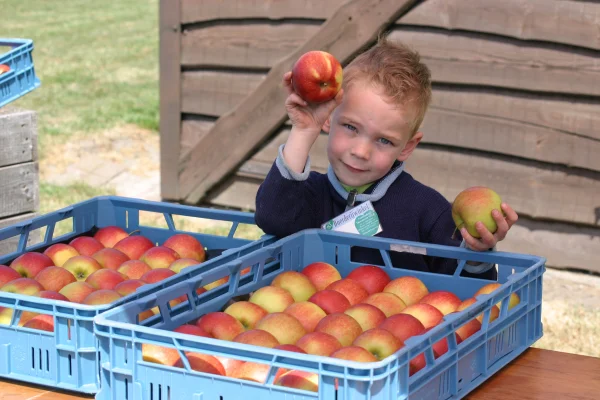 Afbeelding Theunissen & Peters