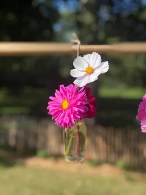 Afbeelding Pluktuin Landgoed De Zonnebloem