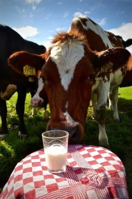 Afbeelding Hoeve Vredeveld
